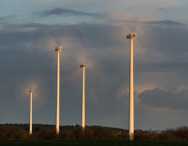 A photo made available 31 March 2015 of the rotors of wind turbines spinning fast during strong wind on a field in Petersdorf, Germany, 30 March 2015. (Photo by Patrick Pleul/EPA)