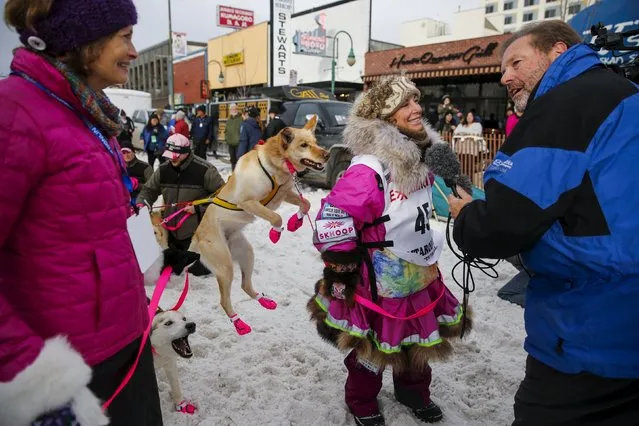 Alaskan musher DeeDee Jonrowe (2nd R) chats with media as Senator Lisa Murkowski looks on at the ceremonial start of the Iditarod Trail Sled Dog Race in downtown Anchorage, Alaska March 5, 2016. (Photo by Nathaniel Wilder/Reuters)