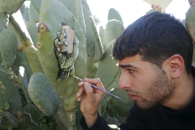 Palestinian artist Ahmad Yasin paints on a cactus fruits tree at his house garden in the West Bank village of Aseera Ashmaliya near Nablus March 31, 2016. (Photo by Abed Omar Qusini/Reuters)