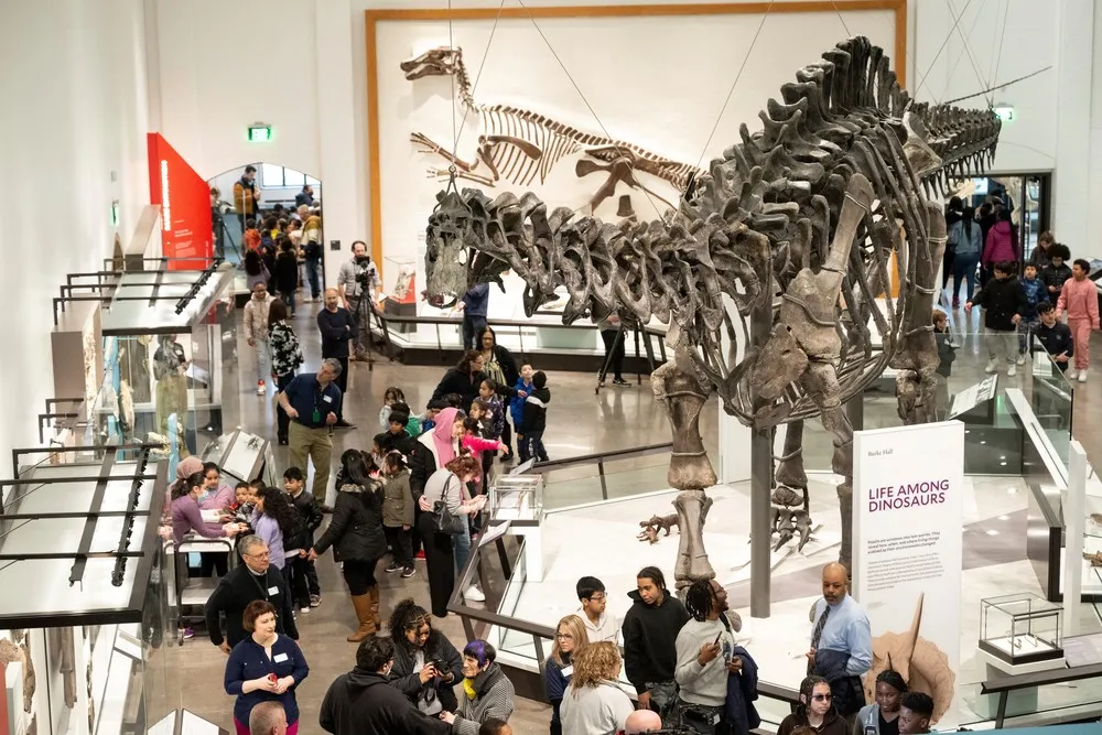 USA last Week, Part 1/3