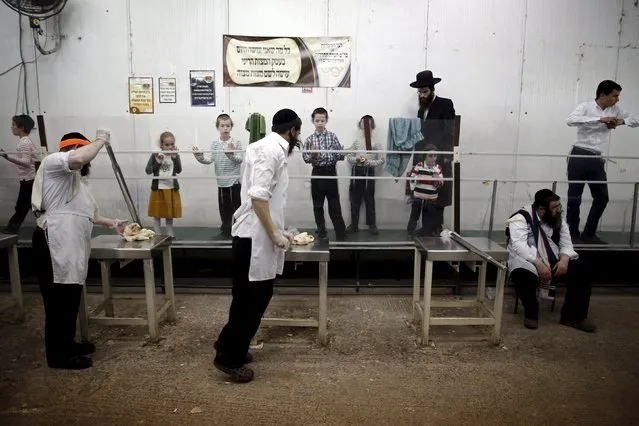 Ultra-Orthodox Jewish men knead dough as they prepare matza, traditional unleavened bread eaten during the upcoming Jewish holiday of Passover, in the southern city of Ashdod April 17, 2016. (Photo by Amir Cohen/Reuters)