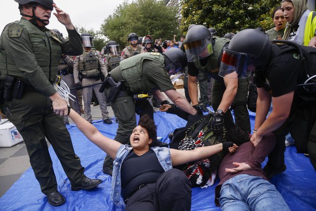 Protesters are taken into custody as law enforcement dismantle an encampment by pro-Palestinian students at the University of Texas at Dallas' Chess Plaza on Wednesday, May 1, 2024, in Richardson, Texas. (Photo by Juan Figueroa/The Dallas Morning News via AP Photo)