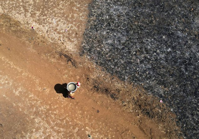 A drone view of a woman carrying a utensil filled with water after drawing it from a well on a hot day in Kasara, India on May 1, 2024. (Photo by Francis Mascarenhas/Reuters)
