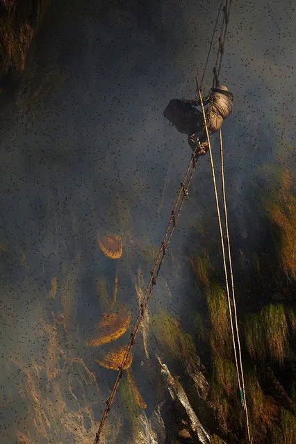 Ancient Traditional Honey Hunters Of Nepal