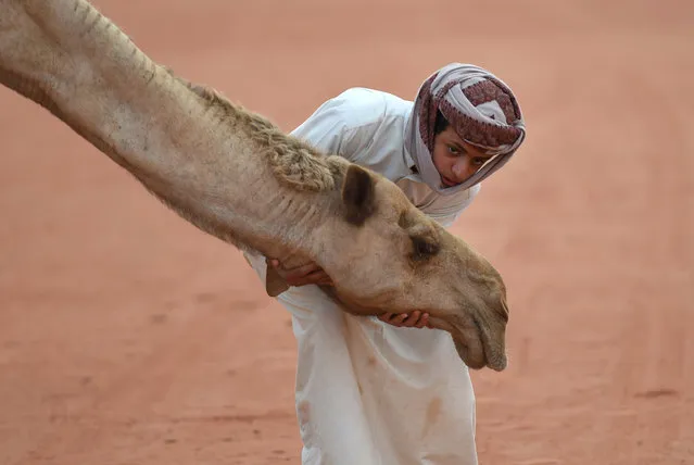 A Saudi boy poses for a photo with a camel at the annual King Abdulazziz Camel Festival in Rumah, some 150 kilometres east of Riyadh, on March 29, 2017. The 28-day King Abdulaziz Camel Festival features a camel beauty contest, known as Miss Camel with prizes amounting to $30 million. (Photo by Fayez Nureldine/AFP Photo)