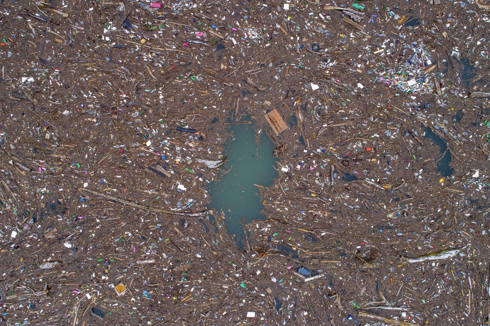 Some Photos: Ecology