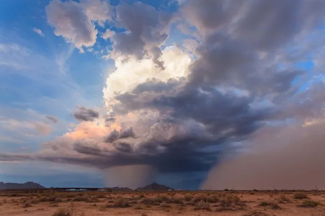 A dazzling capture of a strong microburst or downdraft, coupled with an approaching wall of dust in north of Casa Grande in August 2012. (Photo by Mike Olbinski/Barcroft Media)