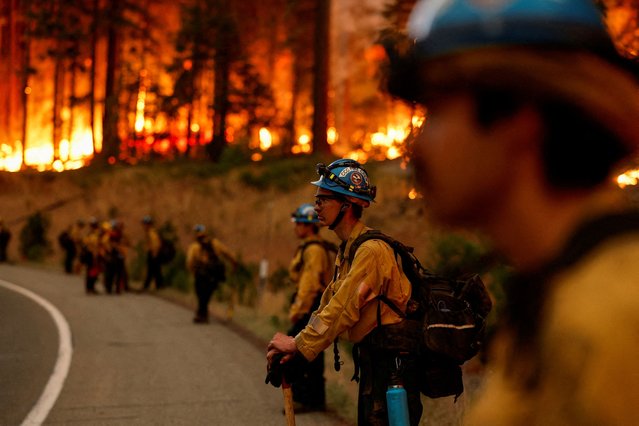 Firefighters stand by the road as the Park Fire burns, near Jonesville, California on July 29, 2024. (Photo by Fred Greaves/Reuters)