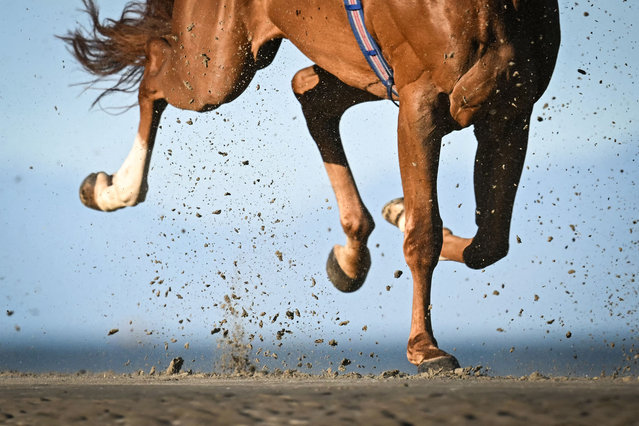 A horse competes in the third race over the sand, on the course on Laytown beach in County Meath on the east coast of Ireland on September 16, 2024, during The Laytown Races. (Photo by Paul Ellis/AFP Photo)