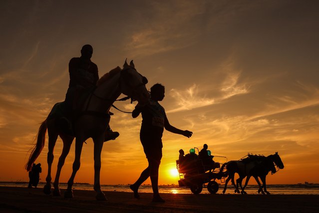 A person rides a horse along Gorai Beach at sunset, in Mumbai, India, 09 December 2024. (Photo by Divyakant Solanki/EPA/EFE)