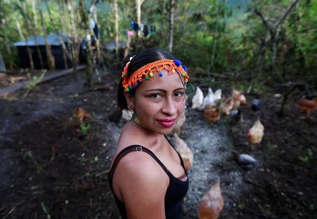 Patricia, a member of the 51st Front of the Revolutionary Armed Forces of Colombia (FARC), poses for a picture at a camp in Cordillera Oriental, Colombia, August 16, 2016. (Photo by John Vizcaino/Reuters)