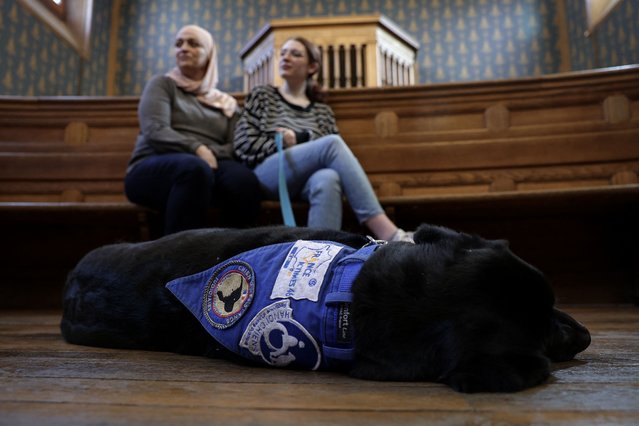 Mathilde (R) sits next to her mother Natalia (L) with Lol, the first legal assistance dog, in the courtroom of Cahors, southwestern France, on February 14, 2025. Mathilde, 17, benefited from the support of Lol, a gentle black Labrador and Europe's first legal assistance dog, who began its function in 2019 thanks to a test program initiated by the public prosecutor at the time. Some twenty legal assistance dogs have been deployed in France, all trained by the Handi'Chiens association to accompany victims throughout the legal procedure, from the first hearing by investigators right up to the trial. (Photo by Valentine Chapuis/AFP Photo)