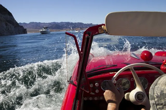 James Spear of Henderson operates a 1964 Amphicar 770 during the first Las Vegas Amphicar Swim-in at Lake Mead near Las Vegas, Nevada October 9, 2015. (Photo by Steve Marcus/Reuters)