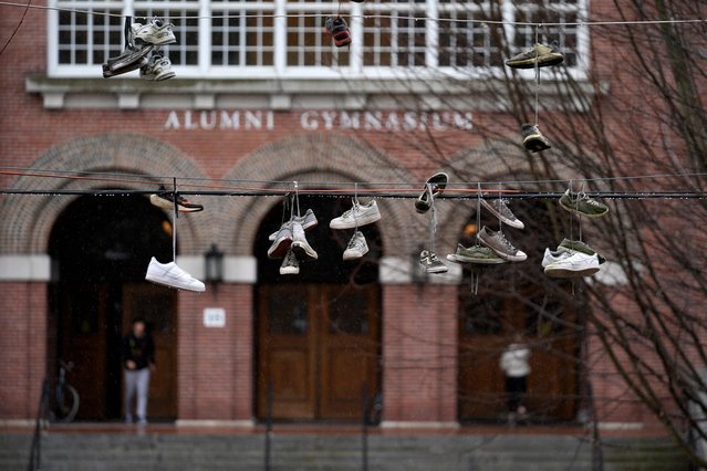 Sneakers hang on utility lines near Alumni Gymnasium on the campus of Dartmouth College, Tuesday, March 5, 2024, in Hanover, N.H. Dartmouth basketball players voted to form a union, an unprecedented step in the continued deterioration of the NCAA's amateur business model. (Photo by Robert F. Bukaty/AP Photo)