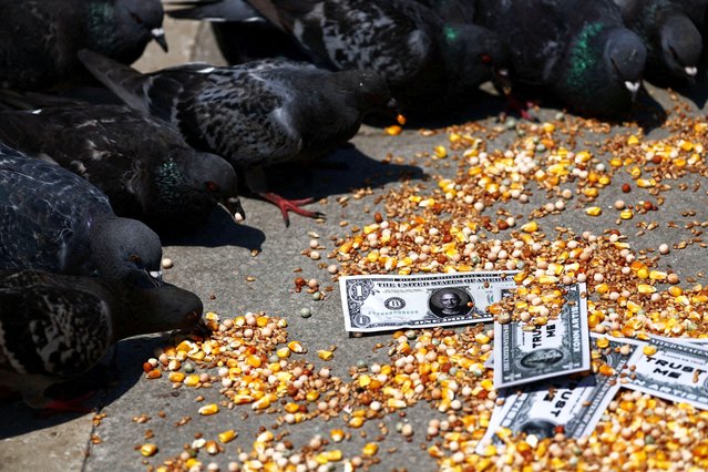 Pigeons eat corn while fake cash notes with Amazon founder Jeff Bezos' face on them lie on the street in St. Mark's Square in Venice, on June 24, 2025. (Photo by Yara Nardi/Reuters)