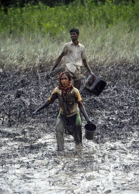 Villagers hold containers to collect oil after an oil tanker sank in one of the world's largest mangrove forests in the Sundarbans, in Joymani village, Bangladesh, Saturday, December 13, 2014. The oil tanker carrying more than 350,000 liters (92,500 gallons) of bunker oil sank Tuesday on the major river flowing through the Sundarbans after being hit by a cargo vessel. (Photo by AP Photo)