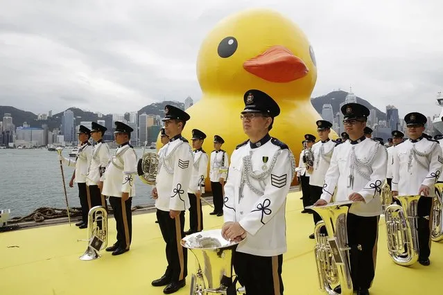 Dutch conceptual artist, Florentijin Hofman's Floating duck sculpture called “Spreading Joy Around the World”, is given a welcome ceremony by the Hong Kong Police band as it is moved to the South Side of Ocean Terminal, Victoria Harbour, on May 2, 2013 in Hong Kong. (Photo by Jessica Hromas/Getty Images)