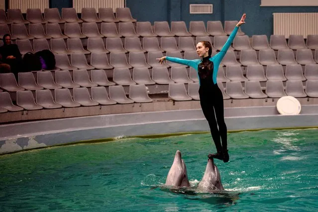 Ukrainian dolphin trainer Eva Leontieva performs with two dolphins at the Constanta Dolphinarium, where four dolphins and three sea lions from a destroyed aquarium in Ukraine found refuge, in Constanta, Romania on April 4, 2023. (Photo by Olimpiu Gheorghiu/Reuters)