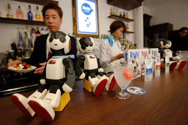 Takara Tomy's Robi humanoid robots sit at Robi Cafe during a press preview Thursday, January 15, 2015, one day before its opening in Tokyo's Ginza district. Customers will be entertained by the 34-centimeter (13.4-inch) tall robot which can recognize more than 200 Japanese phrases, walk, dance and kick a ball at the cafe that opens on Friday until Feb. 8 as part of a promotion of the Weekly Robi Magazine that comes with the robot parts. (Photo by Shizuo Kambayashi/AP Photo)