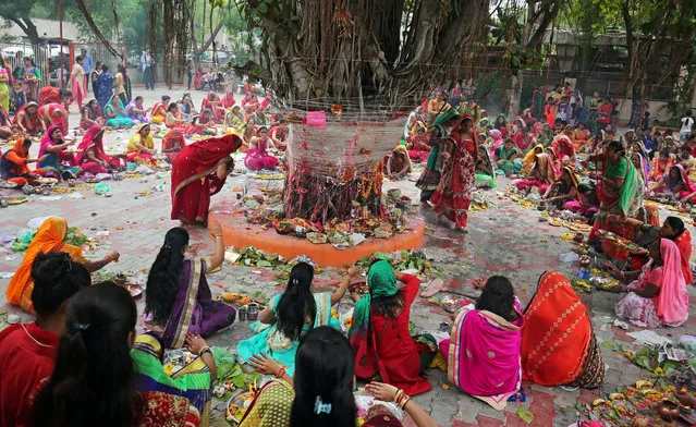 Married Hindu women tie cotton threads around a Banyan tree as they perform rituals on “Vat Savitri festival”, which is celebrated on a full moon day, when married women fast and pray for their husbands' health and longevity, in Ahmedabad, India, June 27, 2018. (Photo by Amit Dave/Reuters)