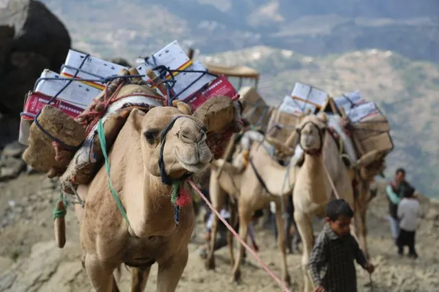 People use camels to transport foodstuff and goods on a mountainous road to Yemen's southwestern war-torn city of Taiz December 26, 2015. (Photo by Reuters/Stringer)