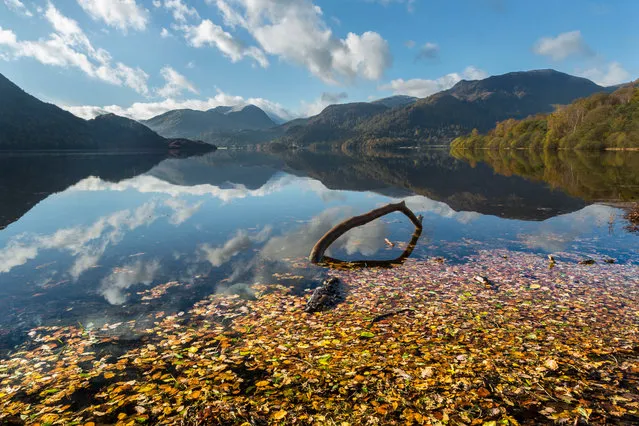 Ullswater Aira Force, Lake District, UK, 2016. The lakeshore between Aira Force and Glenridding is fringed with colour in autumn. The beech trees along the shore near Glenridding are spectacular and accessible, with easy walks from the roadside. The new boat landing at Aira Force allows access by boat from Pooley Bridge and Glenridding; what better way to witness autumn’s spectacle. To see reflections visit early in the morning. The sunrise here is spectacular as it lights up the wooded slopes. (Photo by Stuart Holmes)