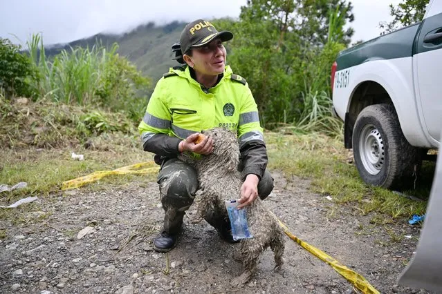A member of the National Police feeds a dog rescued after a landslide in the Quetame municipality, Cundinamarca department, Colombia, on July 18, 2023. Rescue teams with drones searched for survivors Tuesday after a landslide triggered by heavy rains left at least 14 people dead and about a dozen missing in central Colombia, authorities said. (Photo by Juan Barreto/AFP Photo)