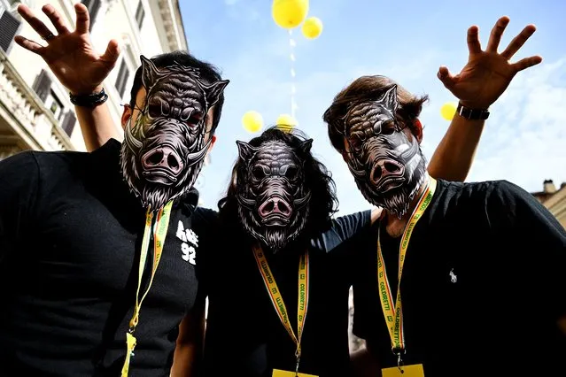 Members of the Coldiretti farmers' association, wearing masks of wild boars, protest against invasive wild boars as part of a national action on May 27, 2022 in downtown Rome. Farmers aim at denouncing the risks posed by wild boars who transmit diseases like swine fever, destroy food production, exterminate crops, besiege fields, and cause road accidents. (Photo by Tiziana Fabi/AFP Photo)