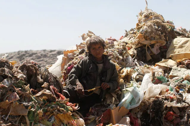 A boy sits on a pile of rubbish at a landfill site on the outskirts of Sanaa, Yemen November 16, 2016. (Photo by Mohamed al-Sayaghi/Reuters)