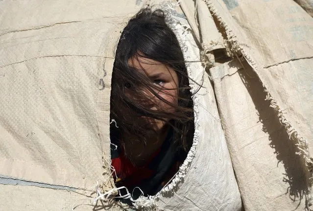 An internally displaced Afghan girl who fled her home due to fighting between the Taliban and Afghan security personnel, peers from her makeshift tent at a camp on the outskirts of Mazar-e-Sharif, northern Afghanistan, Thursday, July 8, 2021. (Photo by Rahmat Gul/AP Photo)