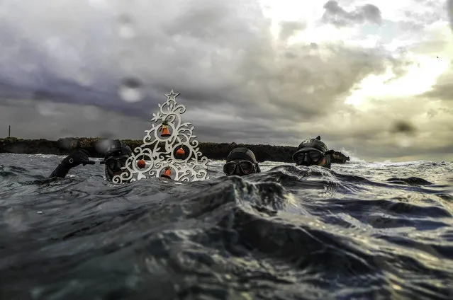 Freedivers pose with an ornamental Christas tree near the surface before diving to place it on the sea-floor off the coast of the northern Lebanese port city of Tripoli on December 18, 2018. (Photo by Ibrahim Chalhoub/AFP Photo)