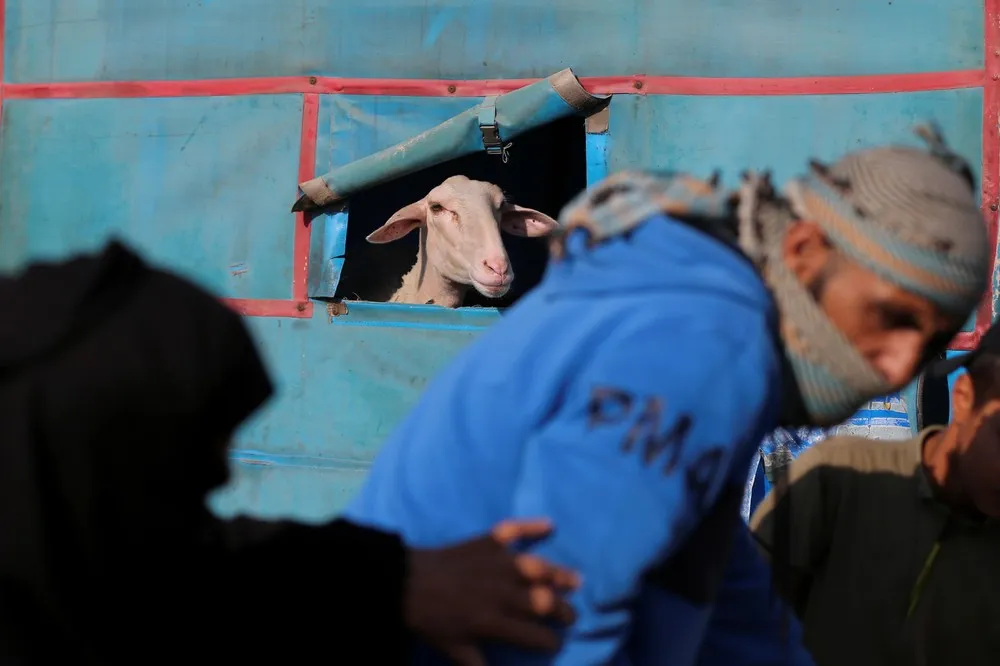 Palestinians Daily Life