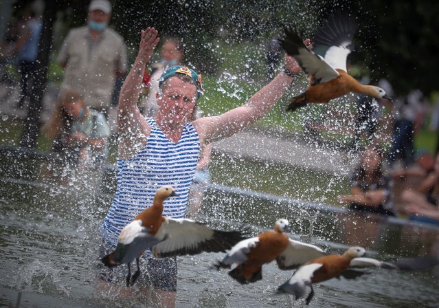 A Russian former paratrooper scares the ducks in the fountain as they celebrate the Paratroopers Day at the Gorky Park in Moscow, Russia, 02 August 2021. The paratroopers' holiday, which is a professional holiday of active and military personnel of the reserve of the Airborne Forces, is traditionally celebrated annually throughout Russia, Belarus and other CIS countries. Airborne troops were formed 91 years ago on 02 August 1930. (Photo by Maxim Shipenkov/EPA/EFE)
