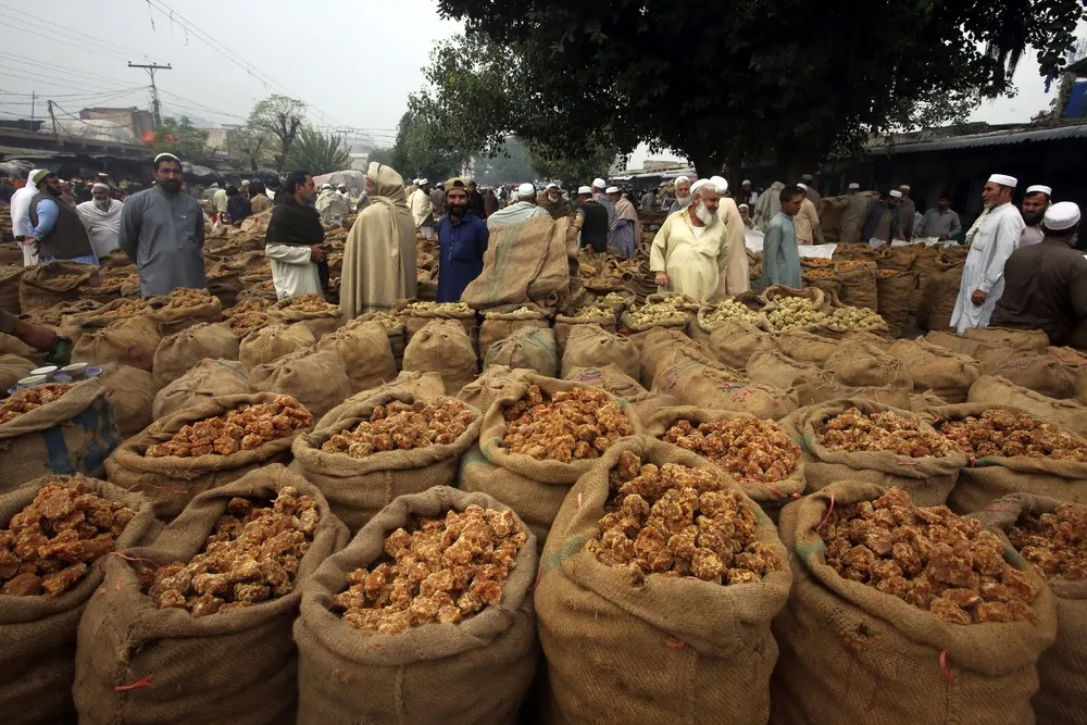 A Look at Life in Pakistan