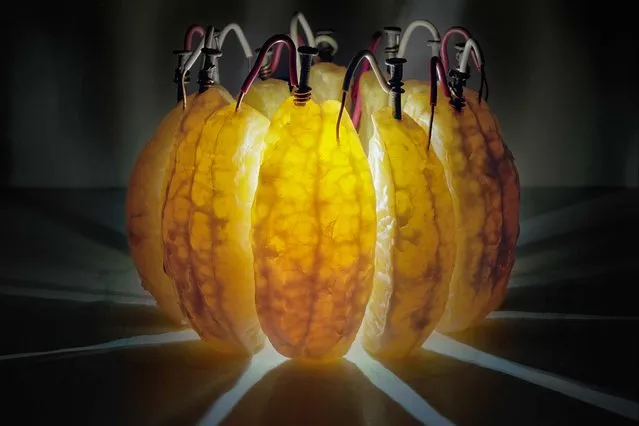 Wedges of an orange generate enough current and electrical juice – 3.5 volts – to power an LED. The fruit’s citric acid helps electrons flow from galvanized nails to copper wire in this 14-hour exposure. This image was published in September’s Visions of Earth, a trio of photos that appear in each issue of National Geographic. (Photo by Caleb Charland/National Geographic)