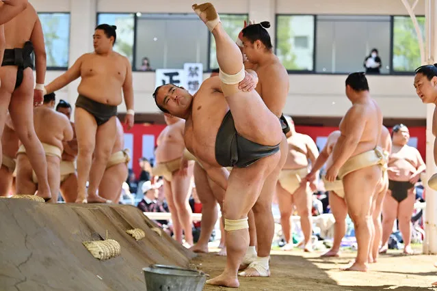 Sumo wrestlers take part in a “honozumo”, a ceremonial sumo exhibition, on the grounds of Yasukuni Shrine in Tokyo on April 15, 2019. Sumo's top wrestlers took part in an annual one-day exhibition for thousands of spectators within the shrine's precincts. (Photo by Charly Triballeau/AFP Photo)