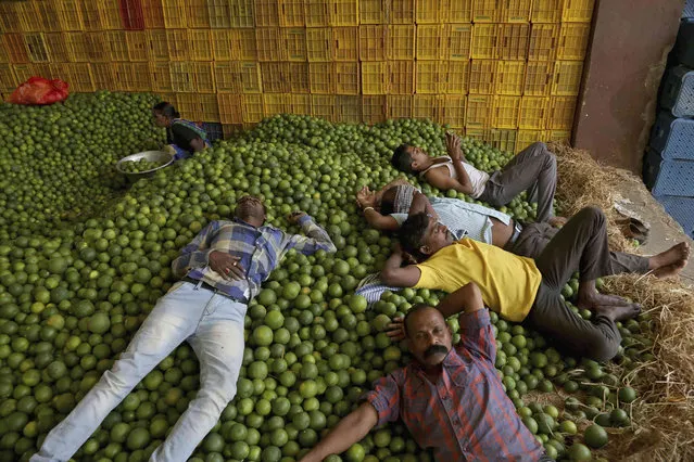Indians rest on sweet lemons at a wholesale fruit market on a hot summer day in Hyderabad, India, Friday, April 26, 2019. Hyderabad has been experiencing extreme heat conditions with temperatures reaching 42 degrees Celsius. (Photo by Mahesh Kumar A./AP Photo)