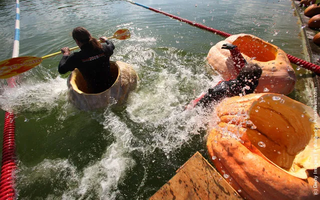 Giant pumpkin race