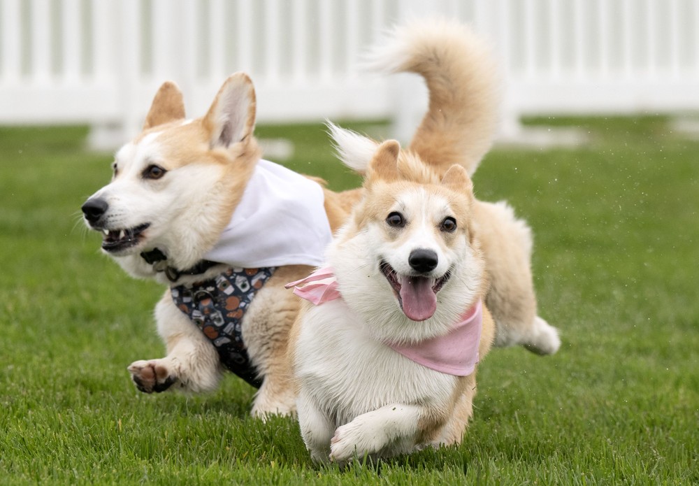 Some Photos: In Motion