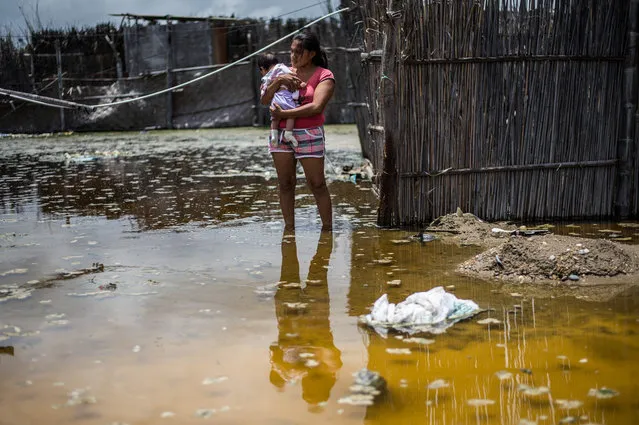 A woman and her baby stand in a flooded street, in the province of La Union in Piura, northern Peru, on March 25, 2017. The El Nino climate phenomenon is causing muddy rivers to overflow along the entire Peruvian coast, isolating communities and neighbourhoods. (Photo by Ernesto Benavides/AFP Photo)