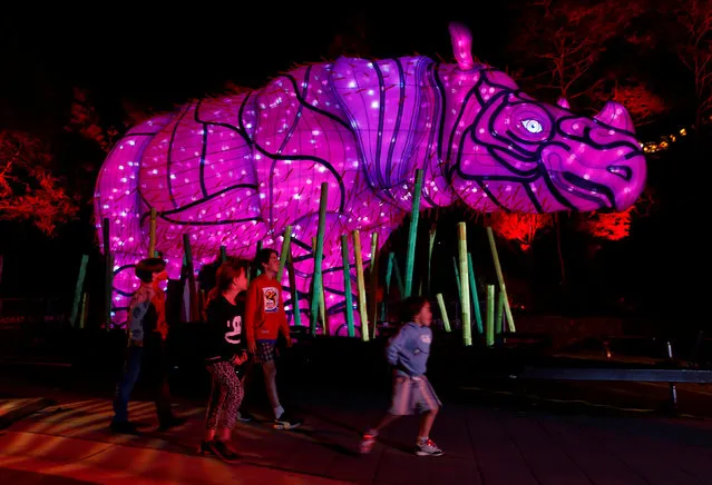Children walk past a giant lantern in the shape of a rhinoceros during a preview of Taronga Zoo's inaugural contribution to the Vivid Sydney light festival, the annual interactive light installation and projection event around Sydney, Australia, May 24, 2016. (Photo by Jason Reed/Reuters)