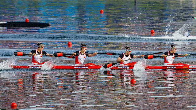 Li Dongyin/Yin Mengdie/Wang Nan/Sun Yuewen (R to L) of China compete during the women's kayak four 500m heats of canoe sprint at the Paris 2024 Olympic Games in Vaires-sur-Marne, France, on Aug. 6, 2024. (Photo by Xinhua News Agency/Rex Features/Shutterstock)