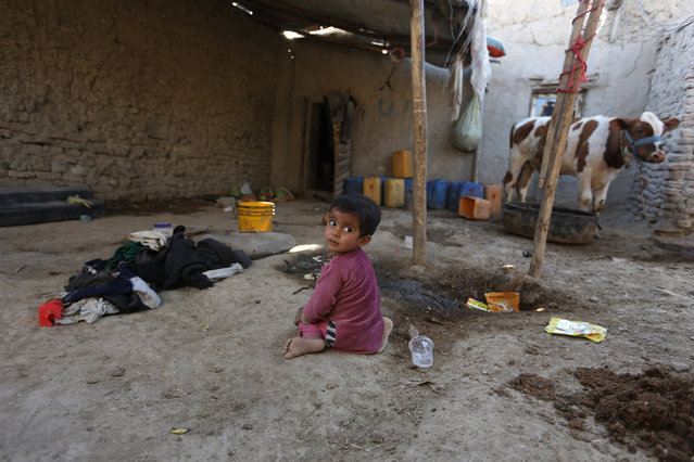 In this Monday, May 30, 2016 photo, an Afghan girl sits on the ground of her temporary home in a camp for internally displaced people in Kabul, Afghanistan. Amnesty International said Tuesday, May 31, that more than 1.2 million Afghans have been forced to flee their homes due to violence in the past three years and urged the Kabul government and the international community to tackle the country's growing crisis of refugees internally displaced by war. (Photo by Rahmat Gul/AP Photo)