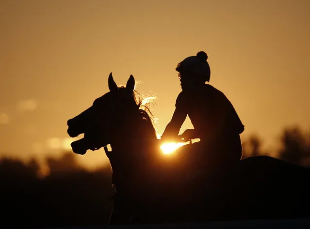 An exercise rider takes a horse for a morning workout at Saratoga Race Course on Thursday, July 23, 2015, in Saratoga Springs, N.Y. (Photo by Mike Groll/AP Photo)