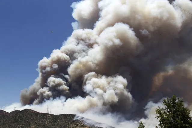 A large plume of smoke from a wildfire rises above a hillside just north of Azusa, Calif., Monday, June 20, 2016. New wildfires erupted in Southern California as an intensifying heat wave stretching from the West Coast to New Mexico blistered the region with triple-digit temperatures. (Photo by Nick Ut/AP Photo)