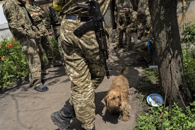 Ukrainian Territorial Defence Force members chat during a deployment break after returning from the frontline in the Kharkiv area, eastern Ukraine, on Monday, May 30, 2022. (Photo by Bernat Armangue/AP Photo)