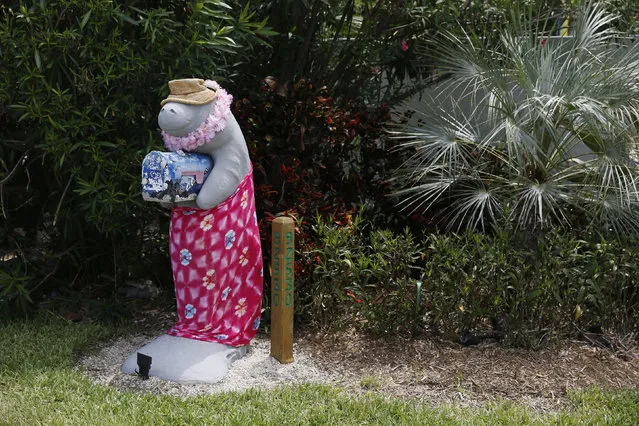 A mailbox in the shape of a manatee stands along the highway US-1 in the Lower Keys near Key Largo in Florida July 10, 2014. (Photo by Wolfgang Rattay/Reuters)