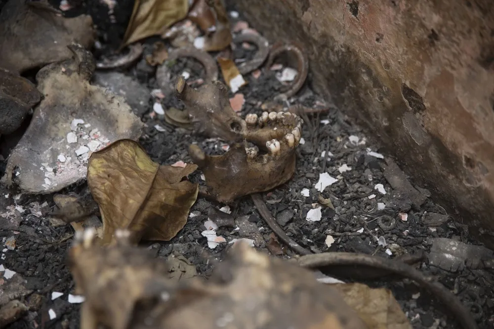 A Look at Life in Haiti