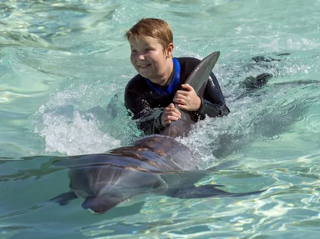 Rady Children's Hospital patient 10-year-old Jayden Skorpanich gets a ride on a bottlenose dolphin after Sea World invited patients to swim and interact with the dolphins at their park in San Diego, California  August 27, 2015. (Photo by Mike Blake/Reuters)