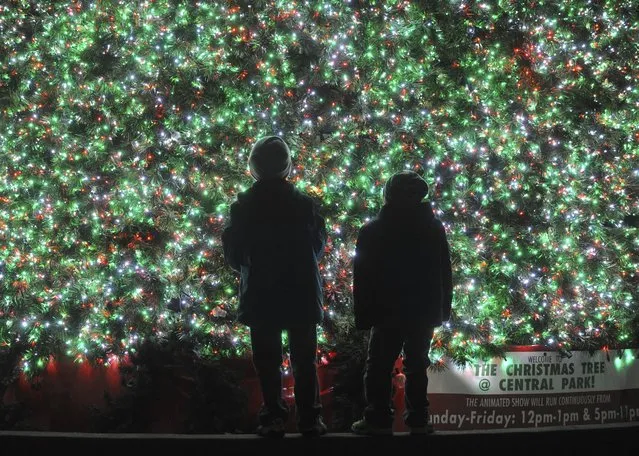 From left are Chase McCann, 7, and his brother Blake, 5, of Northern Cambria, Pa., getting a close look at the musical Christmas tree in Central Park, Johnstown, Pa., Friday, December 8, 2017. (Photo by John Rucosky/Tribune-Democrat via AP Photo)